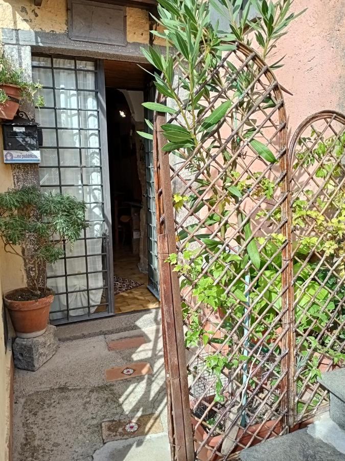 B&B Bellavista Bagnoregio Esterno foto