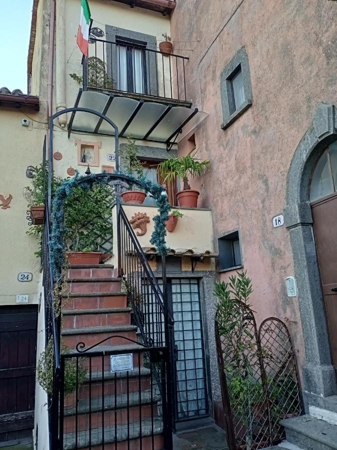 B&B Bellavista Bagnoregio Esterno foto
