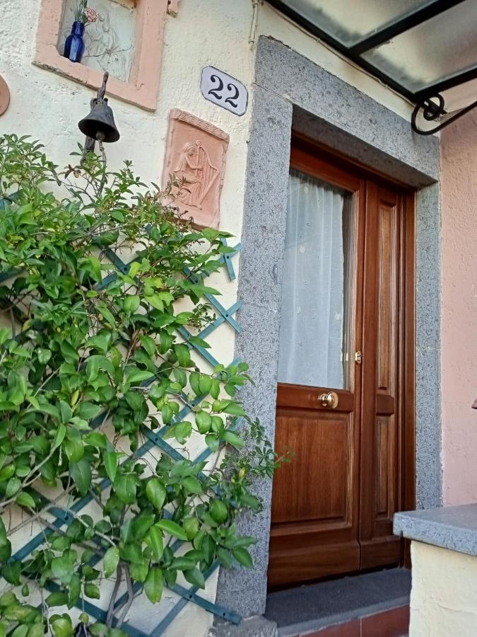 B&B Bellavista Bagnoregio Esterno foto